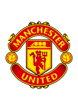 Load image into Gallery viewer, Bottle Opener Premier League